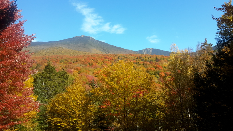 Illustration for article titled 48 Photos Of Autumn Around The World